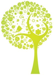 clinica consultorio ype