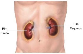 Dieta pacientes renais - rim