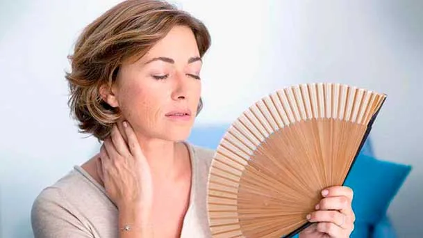 Alimentação na menopausa