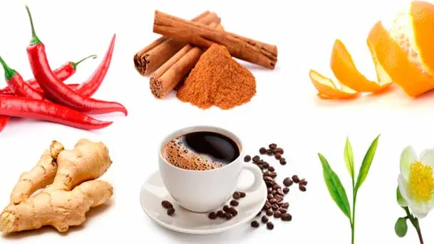 Alimentos Termogênicos