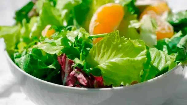 Alimentação no verão