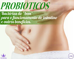 O uso de probióticos na gravidez