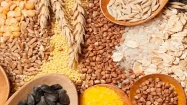 Benefícios nutricionais do trigo