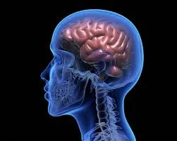 Orientação nutricional na epilepsia