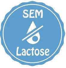 Receitas sem lactose